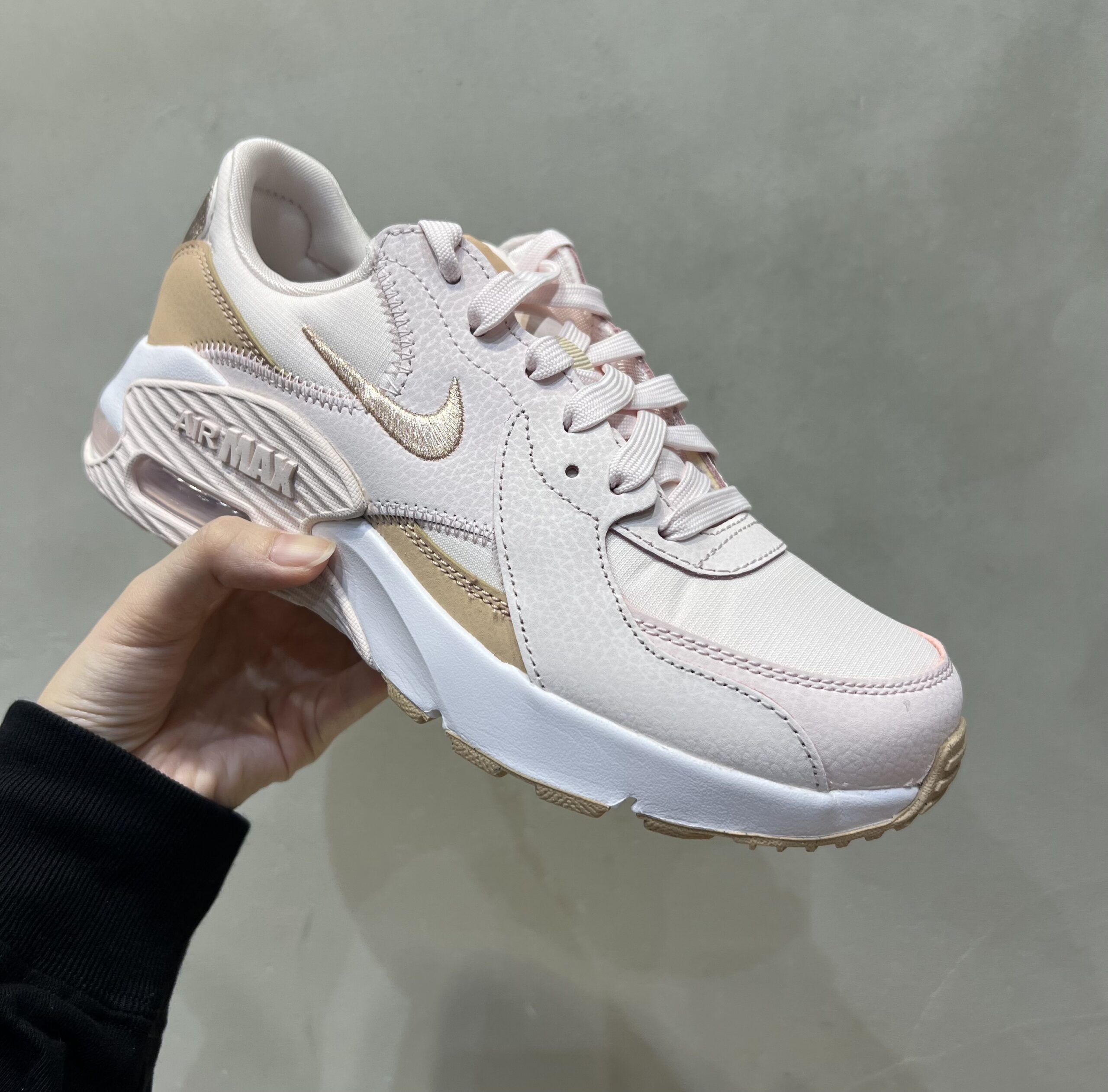 NIKE エアマックス　DX0113-600 24cm