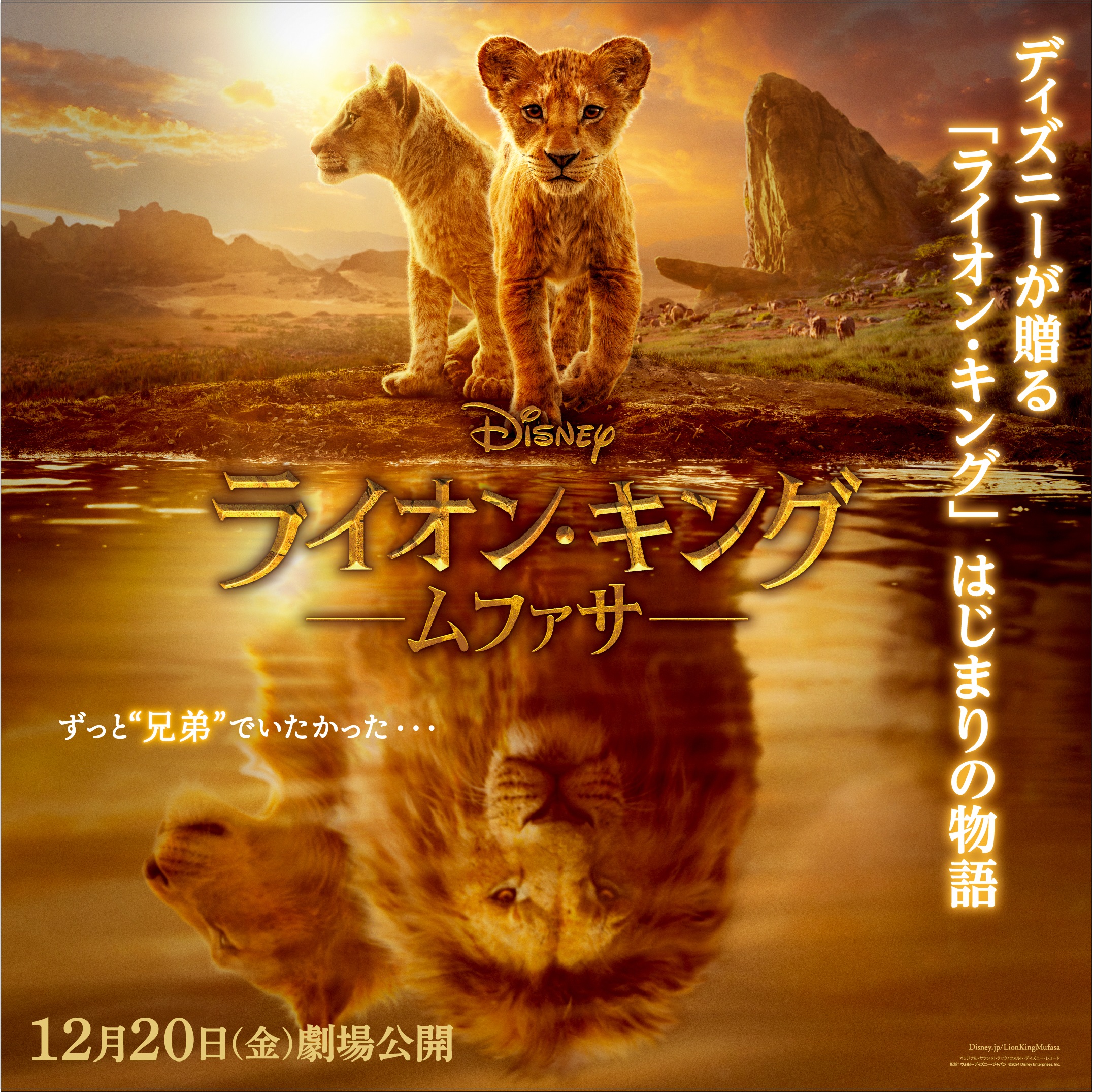 「ライオン・キング」はじまりの物語『ライオン・キング:ムファサ 』T・ジョイ東広島で12/20(金)劇場公開 ディズニー史上、最も温かく切ない“兄弟の絆”の物語